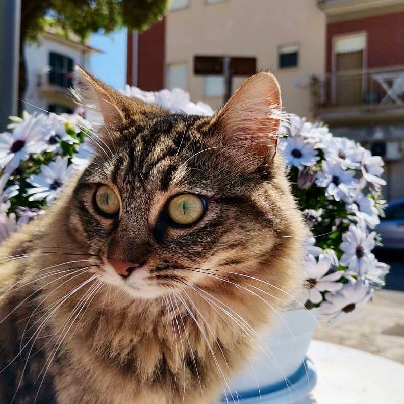 Samy (1)